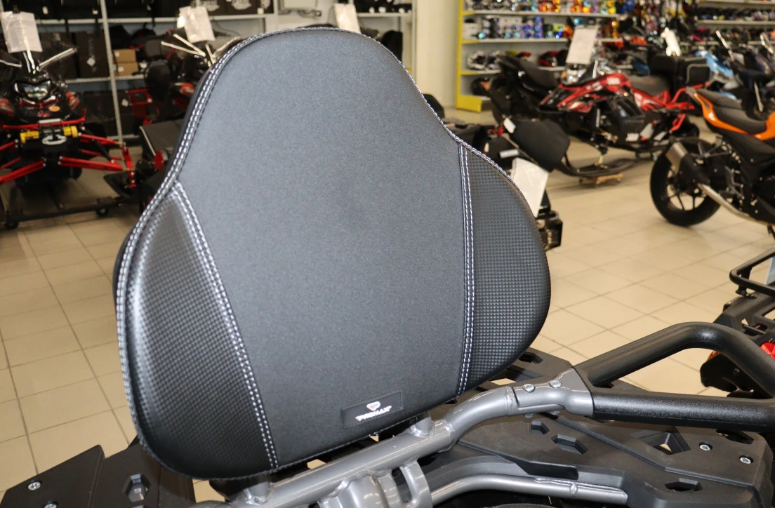 Квадроцикл PROMAX RENEGADE 320 LONG WINCH PRO (2025) в Нальчике