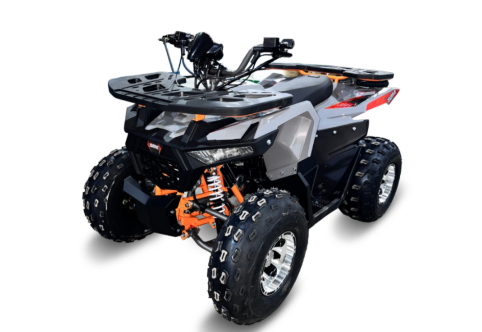 Квадроцикл GBM DAXTER 220 NEW PREMIUM в Нальчике