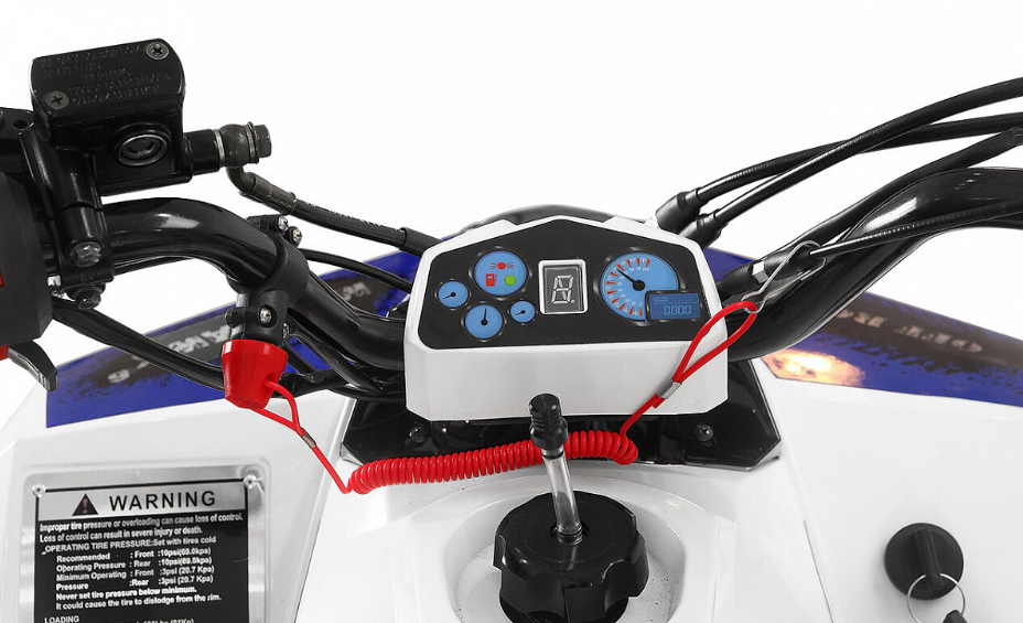 Квадроцикл Yacota Raposa 110 в Нальчике