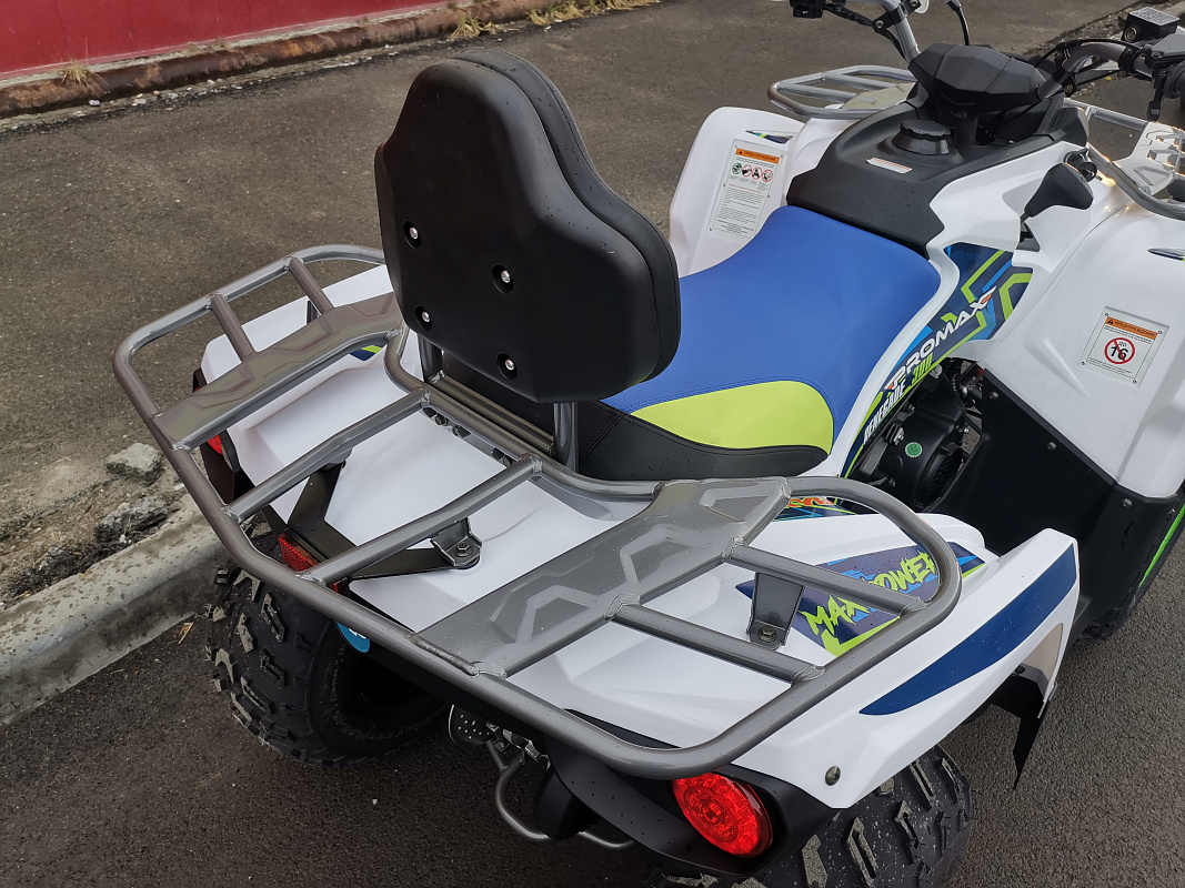 Квадроцикл PROMAX RENEGADE 280 LUX (2025) в Нальчике