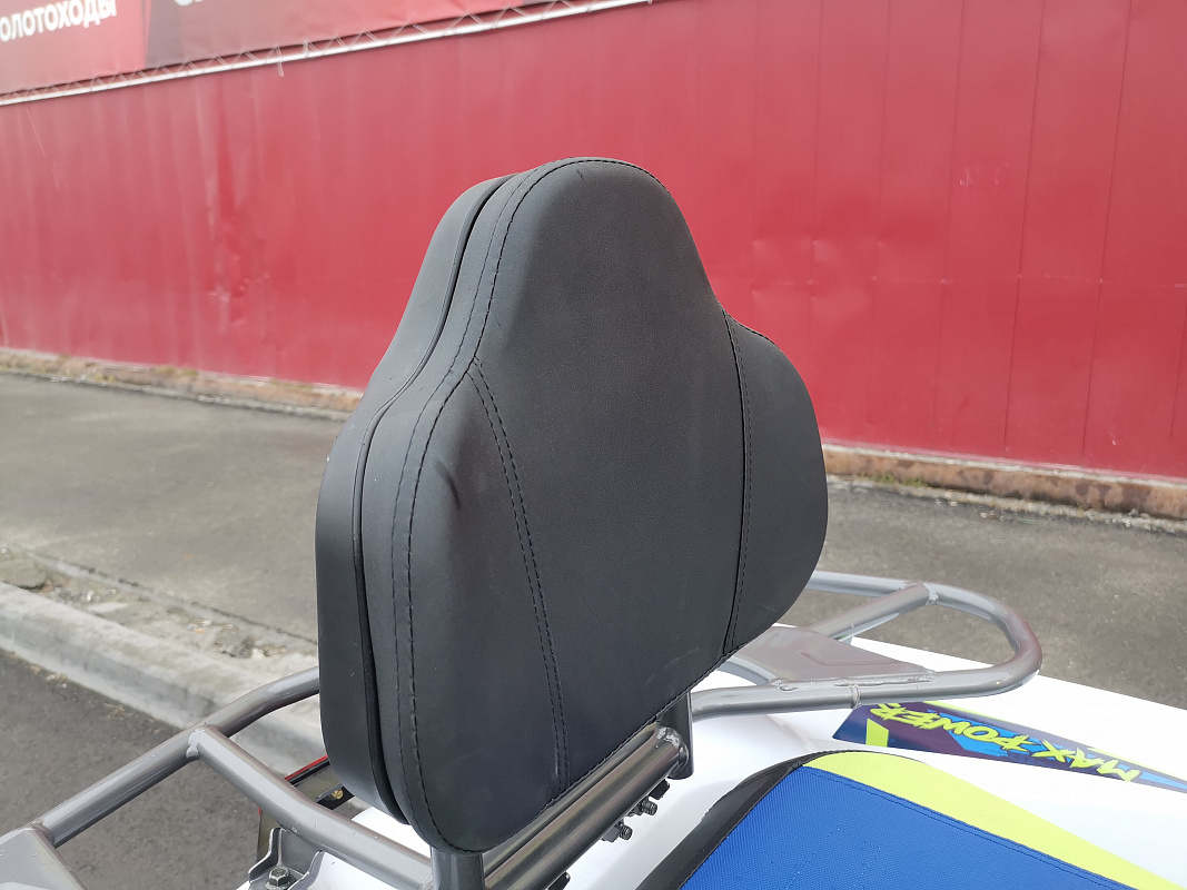 Квадроцикл PROMAX RENEGADE 280 LUX (2025) в Нальчике