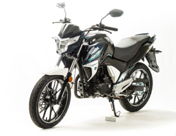 Мотоцикл MOTOLAND (МОТОЛЕНД) FIGHTER 250 в Нальчике