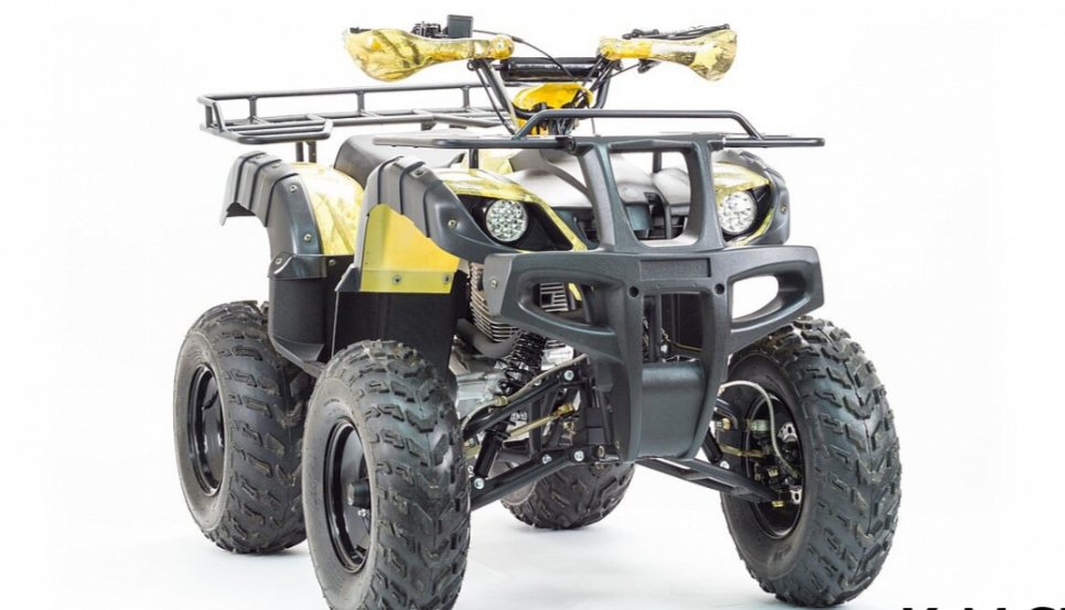 Квадроцикл MOTOLAND (МОТОЛЕНД) 250 ADVENTURE в Нальчике