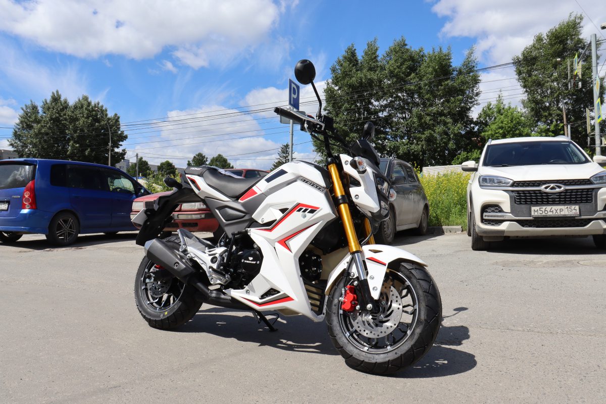 Мотоцикл PROMAX STRYKER 200(49) 2.0 в Нальчике