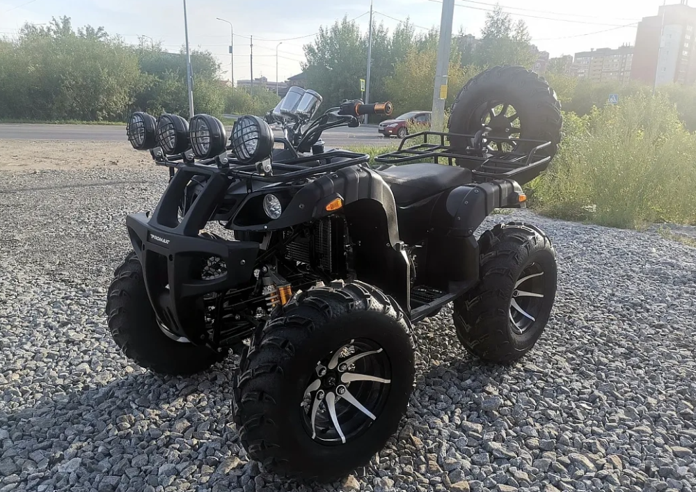 Квадроцикл PROMAX LEO 300 Max (кардан) в Нальчике
