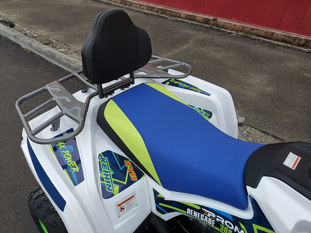 Квадроцикл PROMAX RENEGADE 280 LUX (2025) в Нальчике