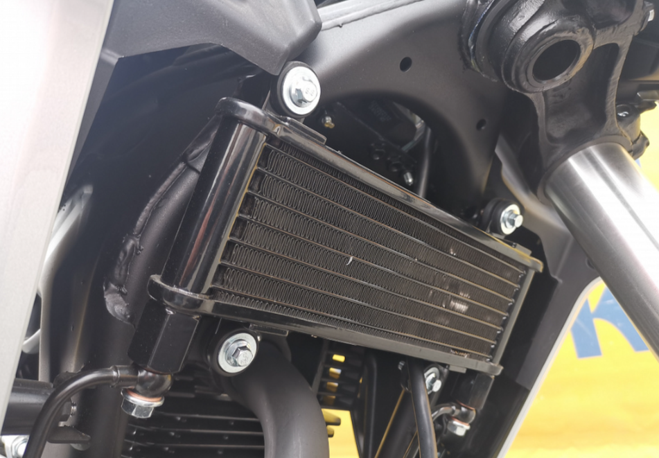 Мотоцикл MOTOLAND (МОТОЛЕНД) 250 CB250 (172FMM-5/PR250) (2022 г.) в Нальчике