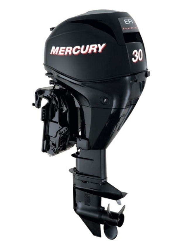 ЛОДОЧНЫЙ МОТОР MERCURY  F 30 ELH GA EFI в Нальчике