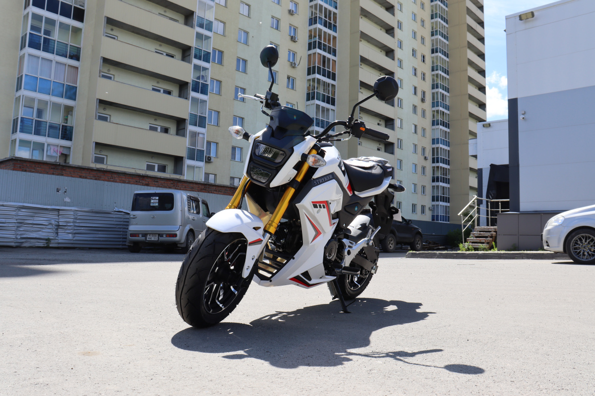 Мотоцикл PROMAX STRYKER 200(49) 2.0 в Нальчике