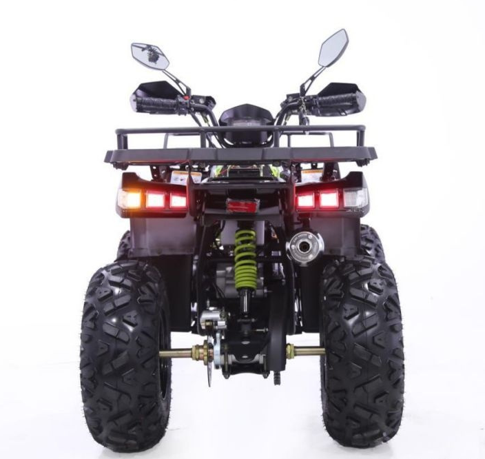 Квадроцикл YACOTA WARRIOR 200 PRO в Нальчике