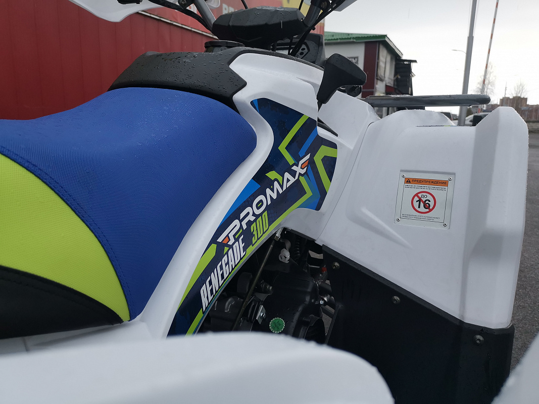 Квадроцикл PROMAX RENEGADE 280 LUX (2025) в Нальчике