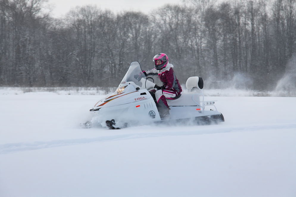 СНЕГОХОД РМ ТАЙГА ПАТРУЛЬ 551 SWT в Нальчике