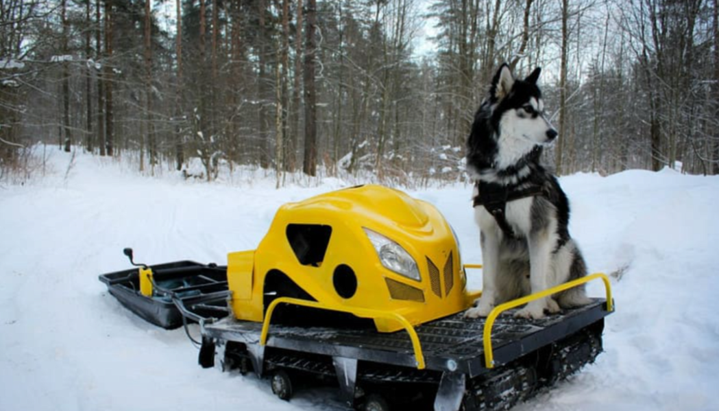 Мотобуксировщик LEBEDEV MOTORS ВОЛКОДАВ POWER V13 в Нальчике