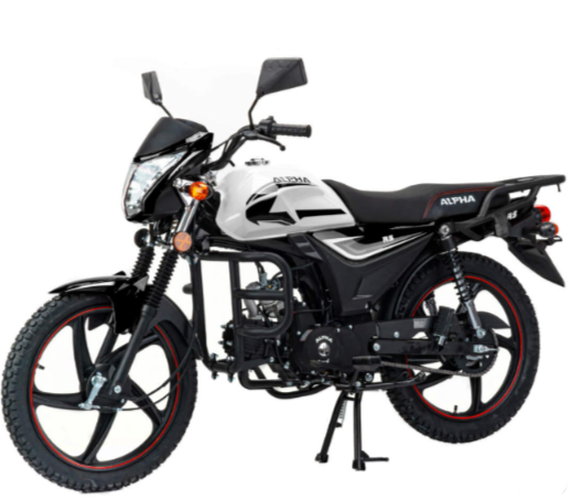 Мопед MOTOLAND (МОТОЛЕНД) Альфа RS 11 (LM48-B) в Нальчике