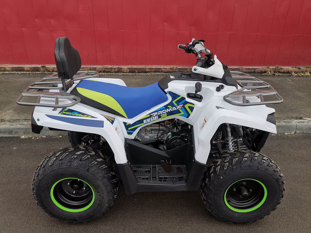 Квадроцикл PROMAX RENEGADE 280 LUX (2025) в Нальчике