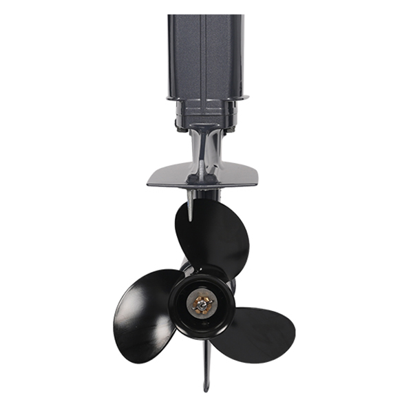 ЛОДОЧНЫЙ МОТОР ALLFA CG T30 FW S в Нальчике