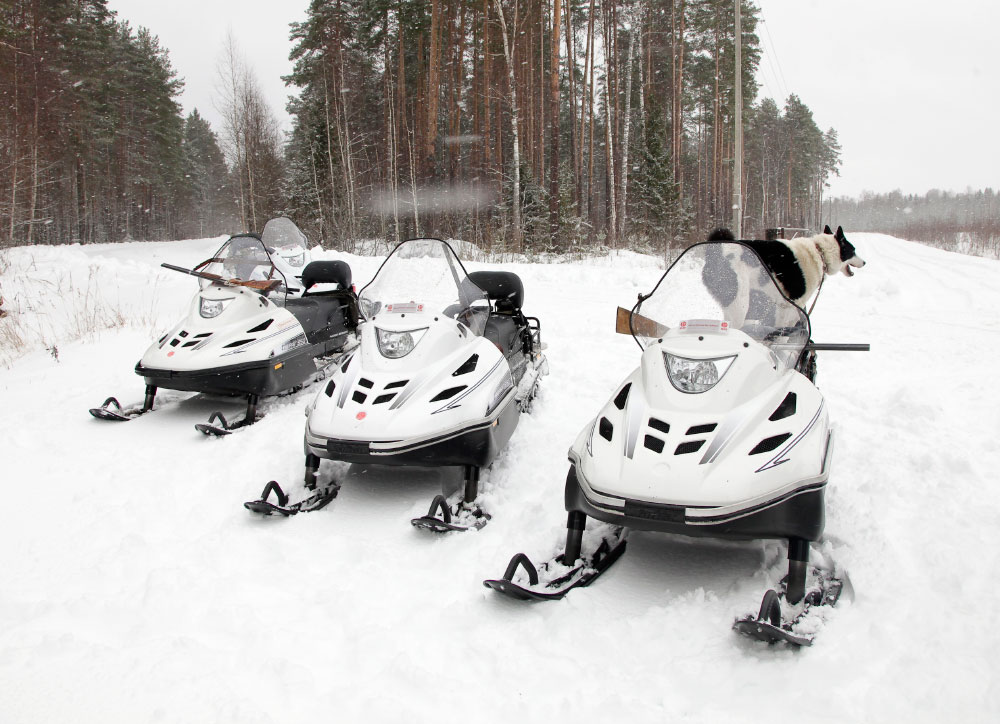 СНЕГОХОД РМ ТАЙГА ВАРЯГ 550 V в Нальчике