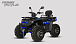 Квадроцикл PROMAX TAURUS 300 MAX-PRO LONG в Нальчике