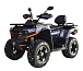 Квадроцикл MOTOLAND (МОТОЛЕНД) 300 MAX X в Нальчике