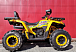 Квадроцикл PROMAX STORM 280 LUX в Нальчике
