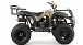 Квадроцикл MOTOLAND (МОТОЛЕНД) 200 ALL ROAD в Нальчике