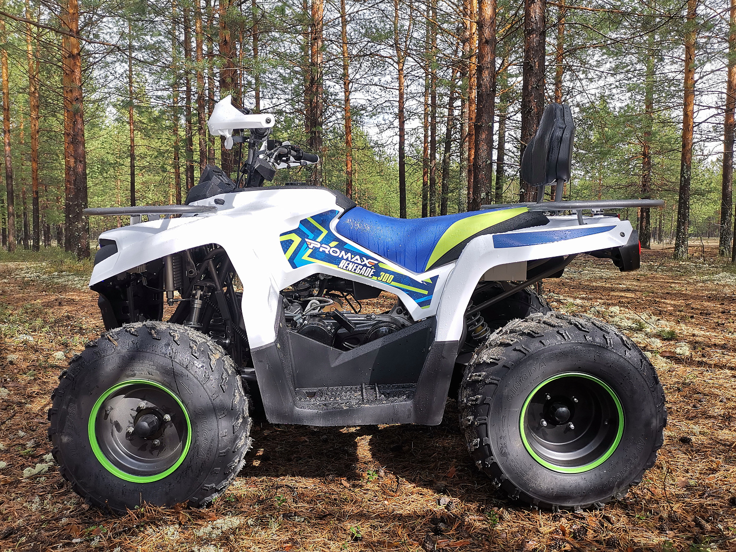 Квадроцикл PROMAX RENEGADE 280 (2025) в Нальчике