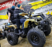 Квадроцикл PROMAX ATV 250 (2025) в Нальчике