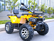 Квадроцикл MOTOLAND (МОТОЛЕНД) VOX200 WILD TRACK X PRO (баланс. вал) в Нальчике