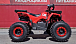 Квадроцикл PROMAX WILD 175 BASIC в Нальчике