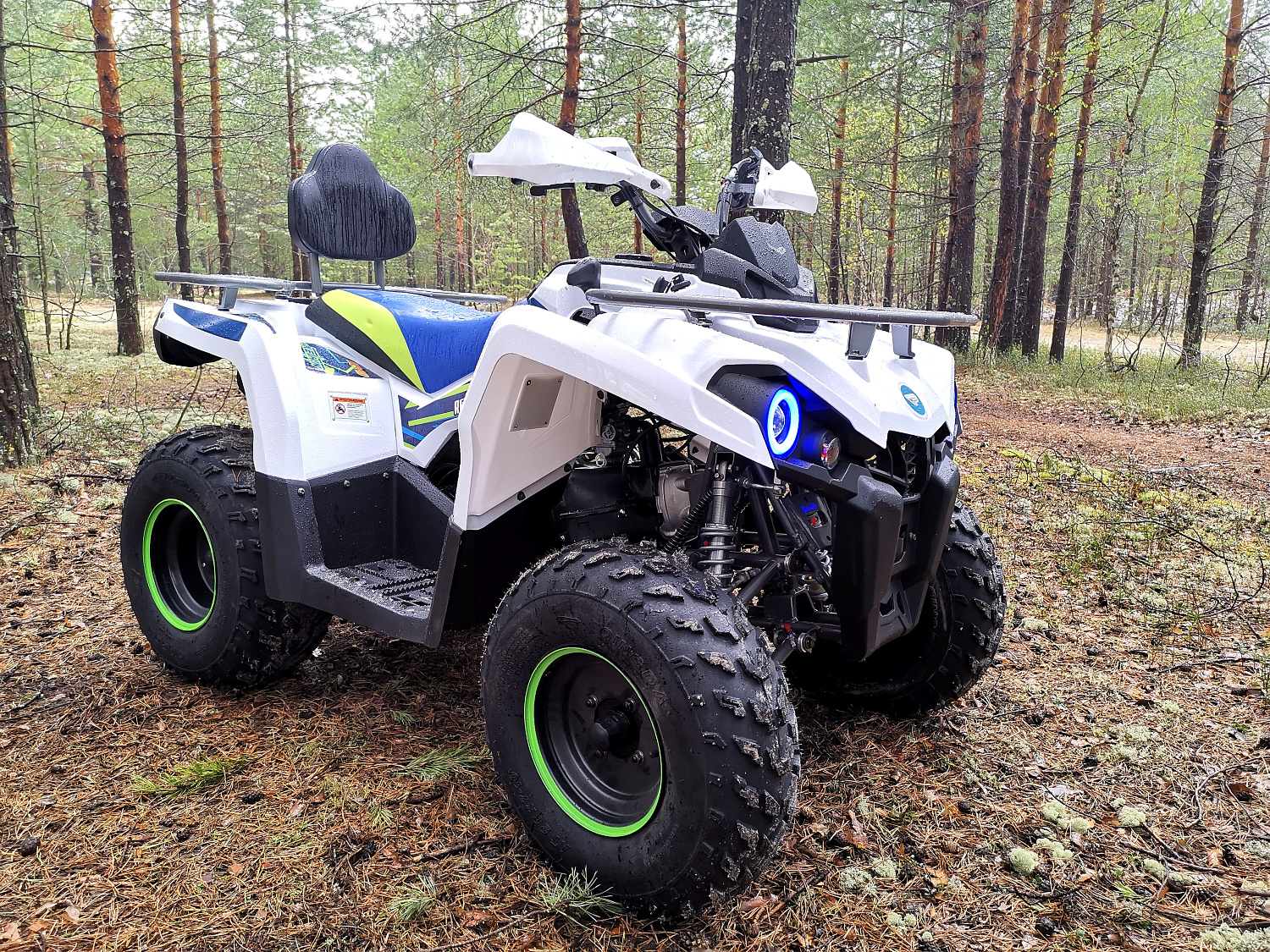 Квадроцикл PROMAX RENEGADE 280 (2025) в Нальчике