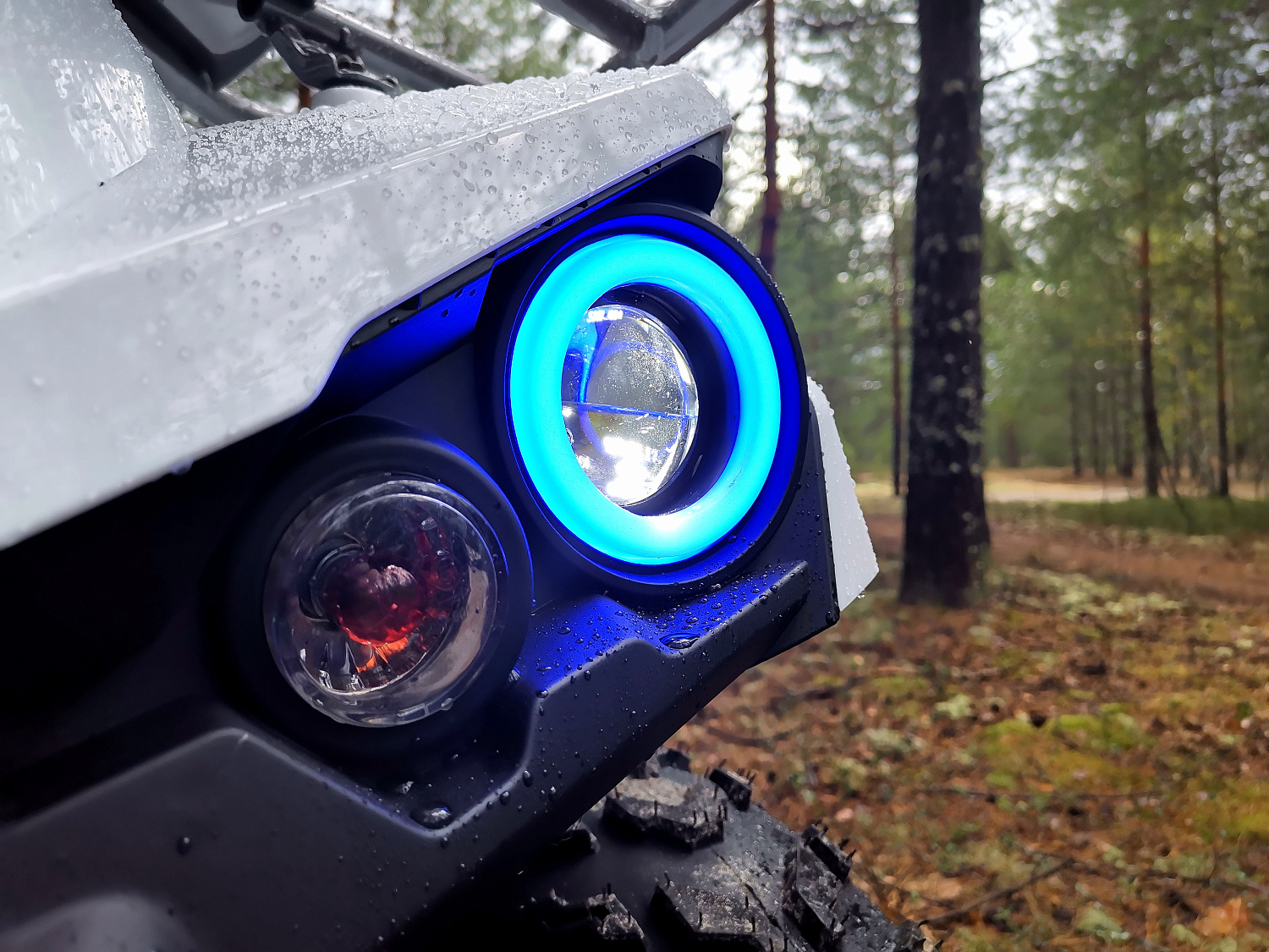 Квадроцикл PROMAX RENEGADE 280 (2025) в Нальчике