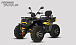 Квадроцикл PROMAX TAURUS 300 MAX-PRO LONG в Нальчике